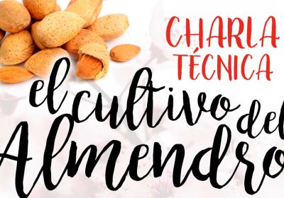 El cultivo del almendro será protagonista de jornada técnica en Daimiel
