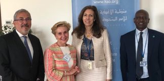 Quintanilla (PP) pide Asamblea Parlamentaria Mundial por el Derecho a Alimentación