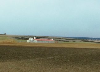 ASAJA Cuenca destaca relevancia del sector porcino y pide respeto