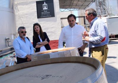 Núñez (PP) anuncia ayudas directas a la modernización del sector vitivinícola
