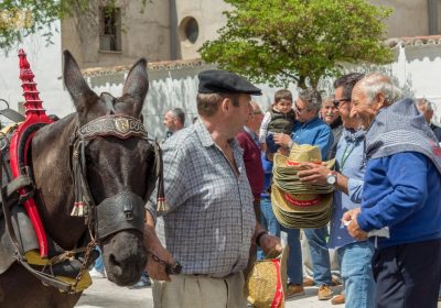 Agricultores de Tomelloso celebran por todo lo alto San Isidro