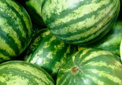 La sandía arranca a 23-35 céntimos por kilogramo