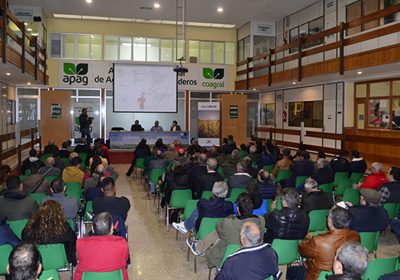 El cultivo de la trufa crea expectativas en la provincia de Guadalajara