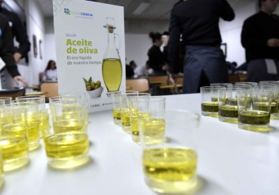 Taller-cata sobre aceite de oliva y charla acerca del suelo