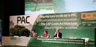 La “arquitectura verde” de la PAC post2020 ofrecerá nuevas oportunidades para agricultura y la ganadería