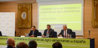 Planas señala que cooperativas agroalimentarias deben avanzar en camino de integración