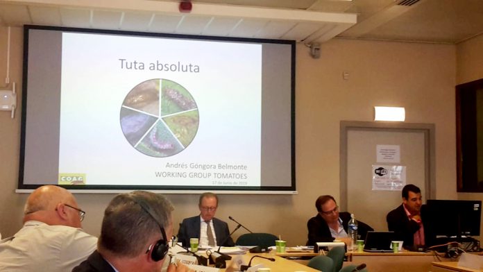 Góngora exponiendo en Grupo Tomate UE