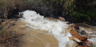 No tiene previsto poner en marcha pozos de sequía en Albacete