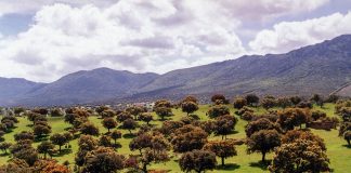 Almodóvar del Campo acoge presentación nacional sobre turismo Red Natura 2000