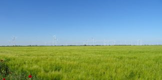 La agricultura de conservación avanza en España sin créditos de carbono agricultura de conservación