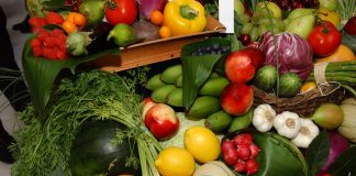 Acusan al Gobierno de orquestar una campaña de demonización contra el regadío español frutas