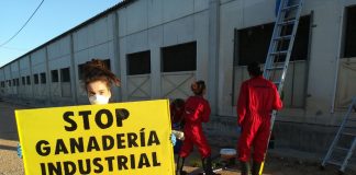 Denuncia que la granja de porcino más contaminante está en Albacete