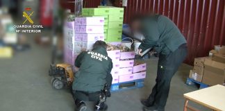 Ciudad Real, en operación policial internacional contra falsos alimentos ecológicos