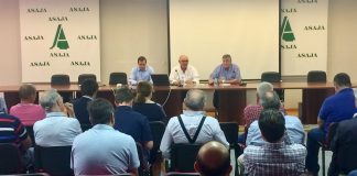 Demanda herramientas para los agricultores para aumentar los rendimientos en la producción de cereales