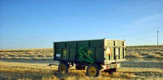 Cifra en 1.500 millones de euros las pérdidas en cereales por sequía a nivel estatal cereales