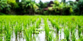 Los movimientos migratorios y el cambio climático. Noelia Marqués