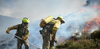 Apoyo a Castilla-La Mancha para restauración zonas afectadas por incendios forestales