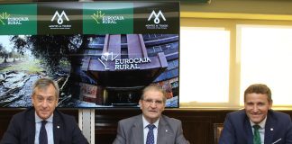 Eurocaja Rural afianza apuesta por aceite de oliva de Castilla-La Mancha
