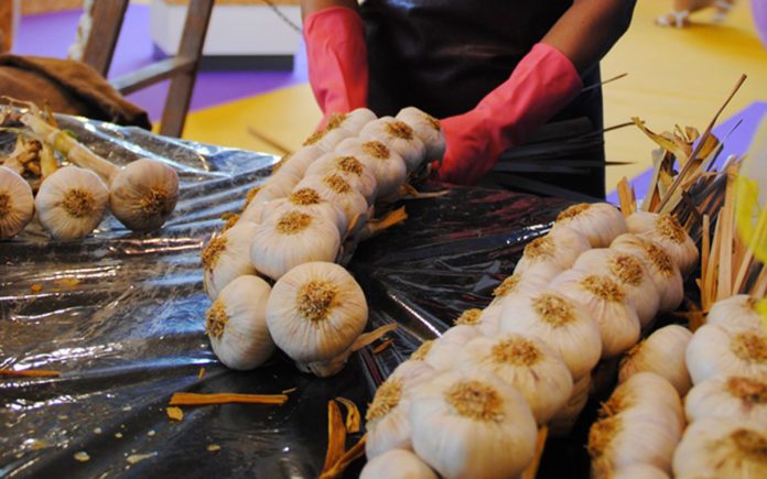 Artesanía del Ajo
