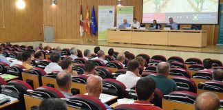 Cooperativas Agro-alimentarias prevé una cosecha de 21 millones de hectolitros de vino y mosto en Castilla-La Mancha