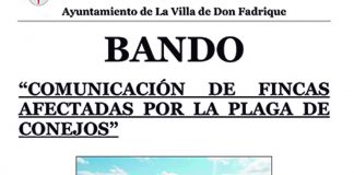 Un Ayuntamiento toledano toma medias ante la plaga de conejos