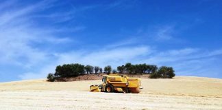 El mercado de los cereales sigue complicándose siega