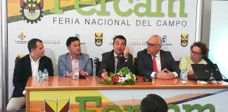 UPA: El olivar tradicional necesita mejoras en los precios