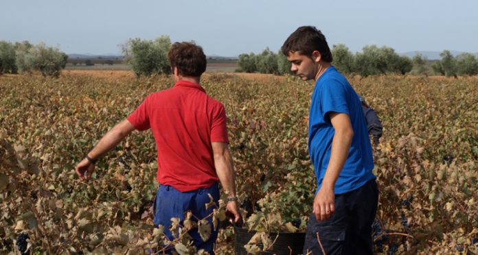 jóvenes agricultores