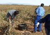Castilla-La Mancha abona ocho millones para la incorporación de jóvenes al campo jóvenes agricultores