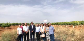 Diputación Cuenca concluye arreglo del camino entre Ledaña y El Herrumblar