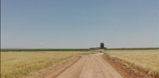 Arreglan 8,5 kilómetros de caminos rurales de Torralba de Calatrava
