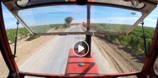Vídeo mal estado camino de Cirujano