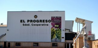 Cooperativa manchega, convencida de que precios del vino subirán en otoño