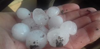 Una tormenta de granizo causa daños en viñas de Socuéllamos (Ciudad Real)