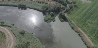Mal estado del río Jarama en su desembocadura en el Tajo. WWF