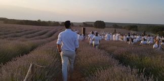 Apuesta por el cultivo de las aromáticas en La Alcarria