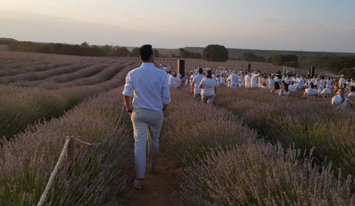 p1dg74qi5keut42j1pbp1l57lvu9