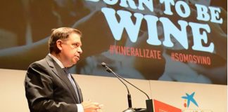 Nueva extensión de norma permitirá afrontar los desafíos del sector vinícola