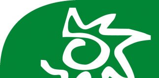 El incendio de Toledo, una catástrofe ambiental que exige respuestas y algunas reflexiones. Ecologistas en Acción Toledo