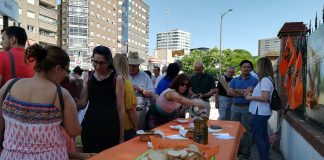 UPA conciencia de la importancia del olivar tradicional en la región