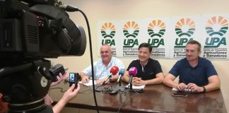 UPA Castilla-La Mancha alerta de que “se corre el riesgo de que los precios de esta vendimia y de las posteriores vuelvan a ser ridículos”