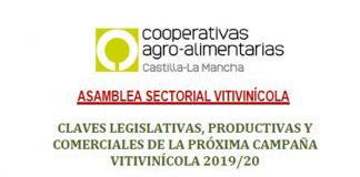 Cooperativas Agro-alimentarias Castilla-La Mancha abordará las claves de la próxima vendimia