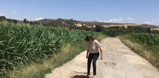 Ciudadanos reclama arreglo de un camino rural de provincia Guadalajara