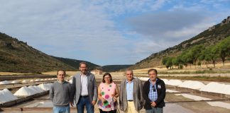 Destaca posibilidades económicas de comercializar flor de sal para gastronomía