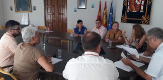 Analizan posibles líneas de ayudas tras pedrisco en Campo de Montiel