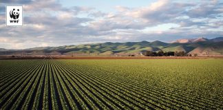 Necesidad de cambios en sistema alimentario frente al cambio climático