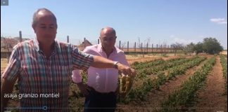 ASAJA Ciudad Real, en la ‘zona cero’ de la tormenta del Campo de Montiel