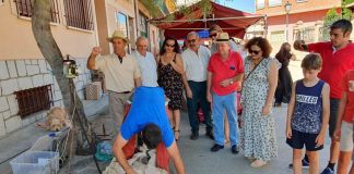 Gran actividad en VIII Mercado Rural de Aldeanueva San Bartolomé