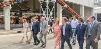 Defenderá ampliación nuevas autorizaciones plantación de viñedo más allá de 2030