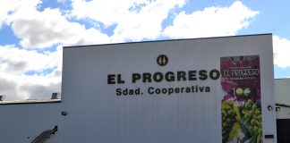 Cooperativa El Progreso de Villarrubia de los Ojos iniciará vendimia a mediados de la próxima semana